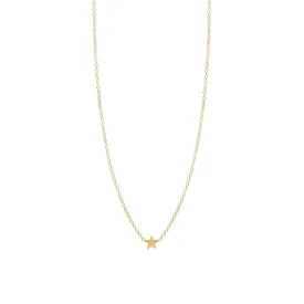 14k Gold Itty Bitty Star Necklace