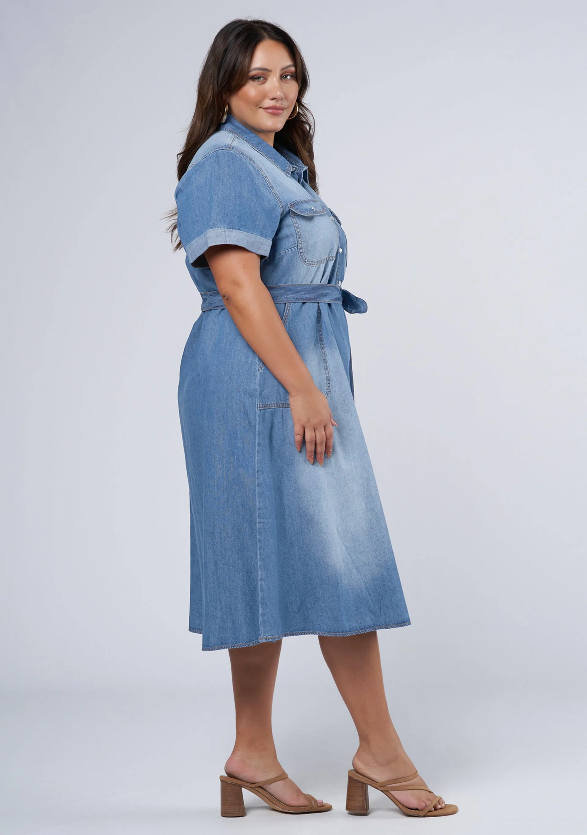 Ari Denim Midi Dress