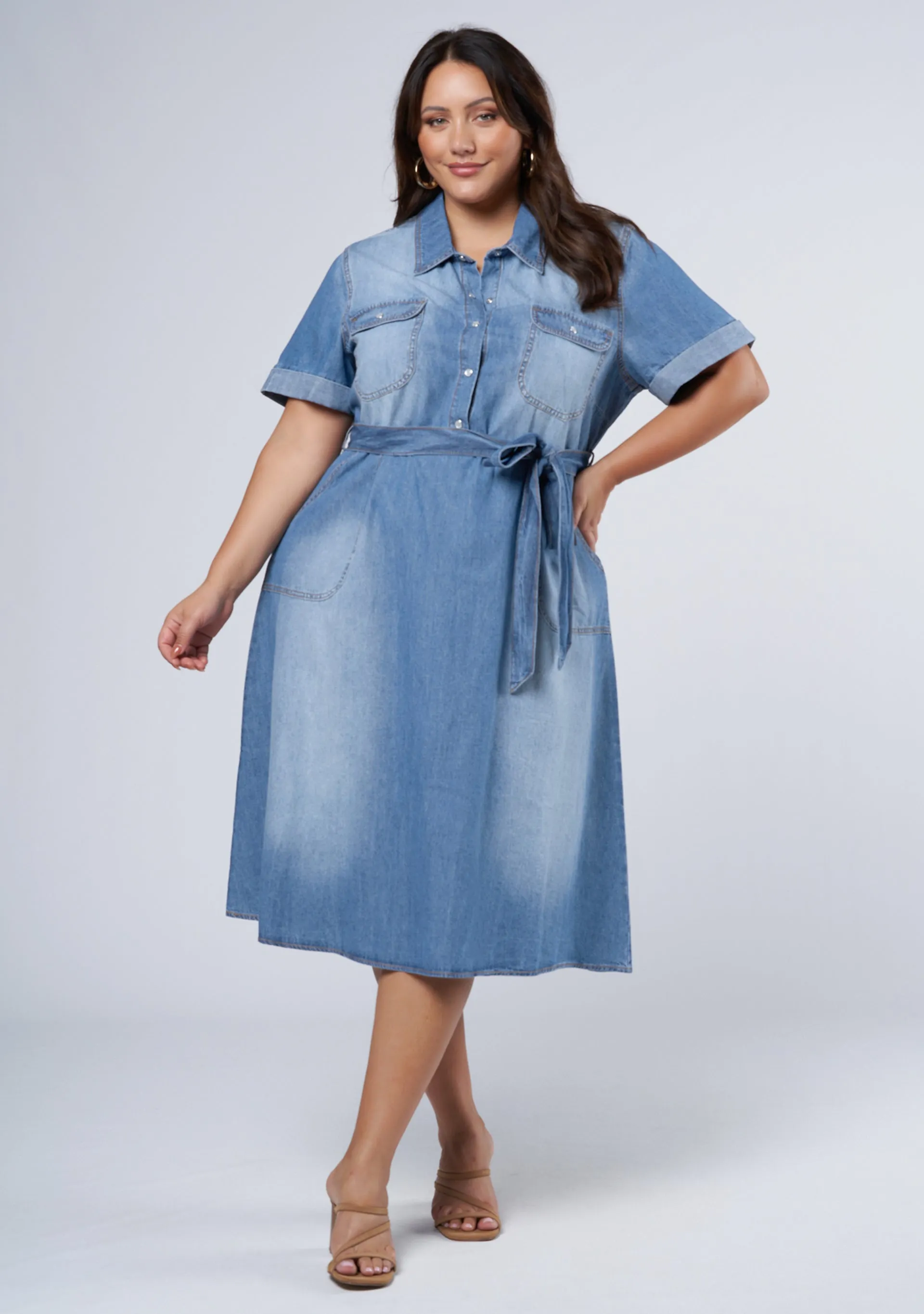 Ari Denim Midi Dress