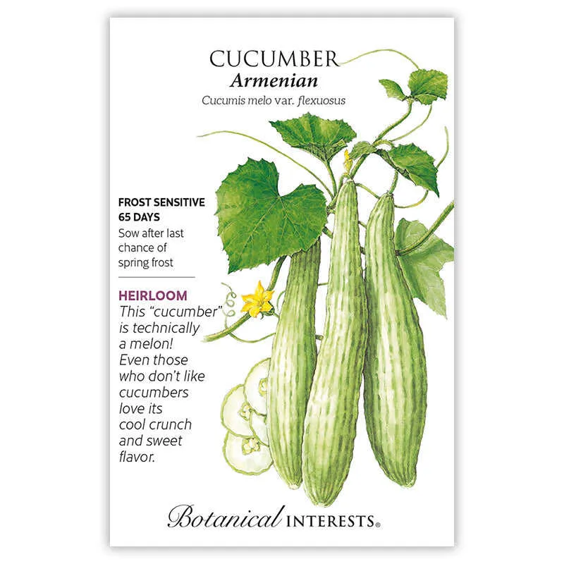 Armenian Cucumber Seeds