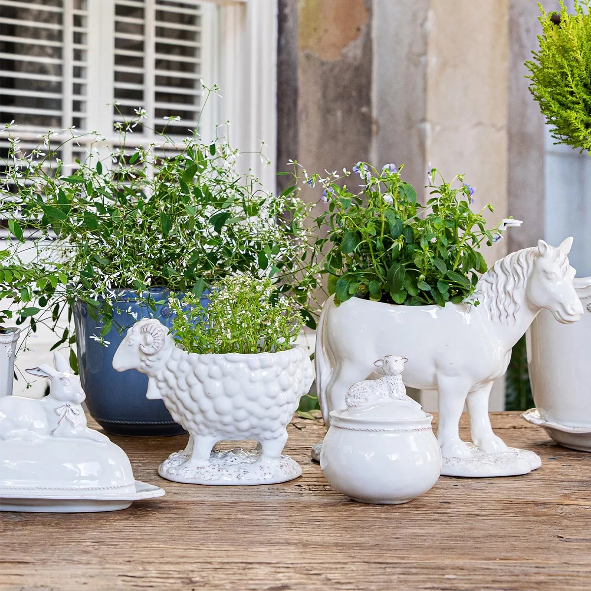 Clever Creatures Ceramic Rooster Pitcher