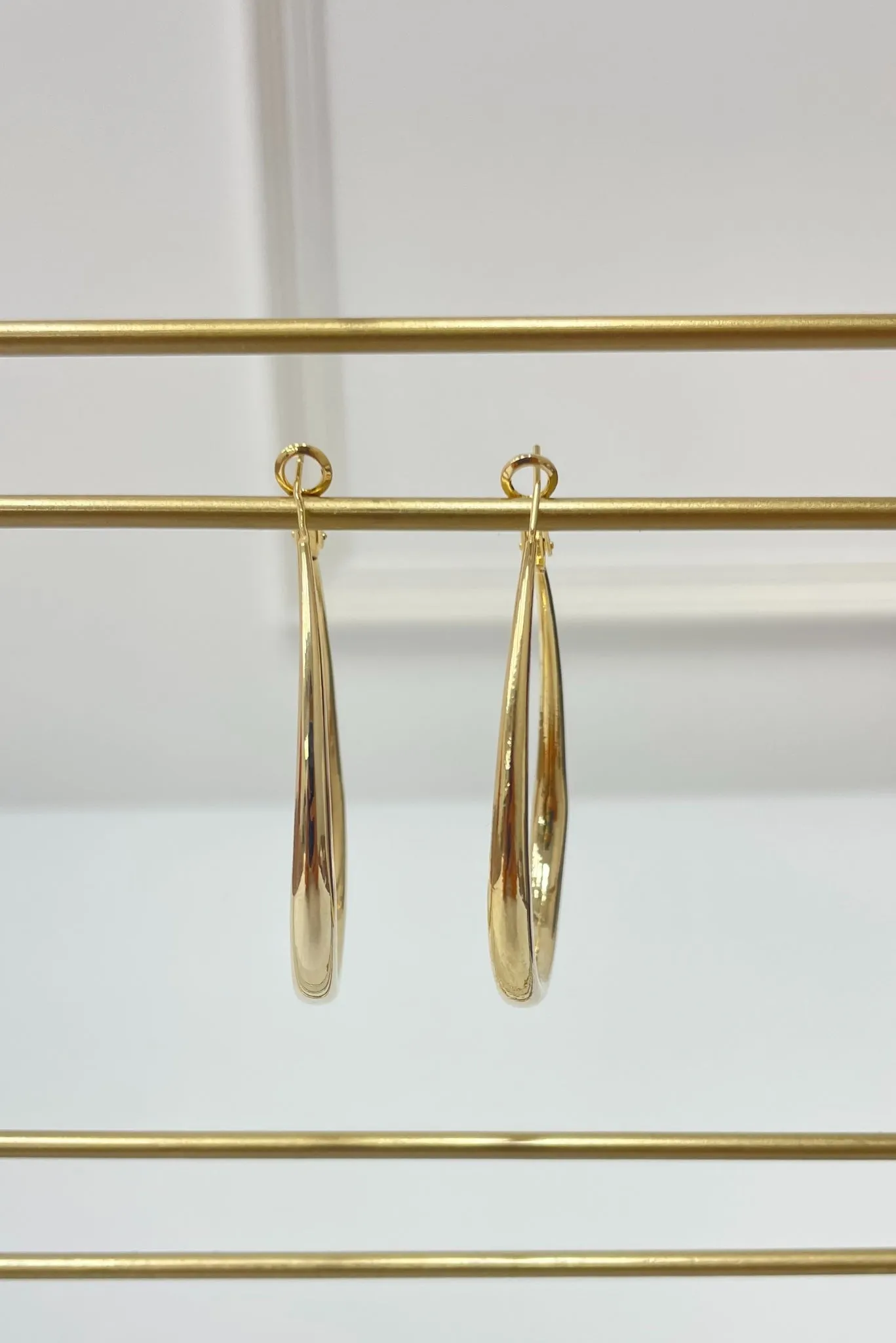 Sculpted Oval Shaped Earrings